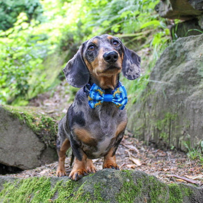 Pawsome Paws Boutique x Disney Bow Tie - Simba