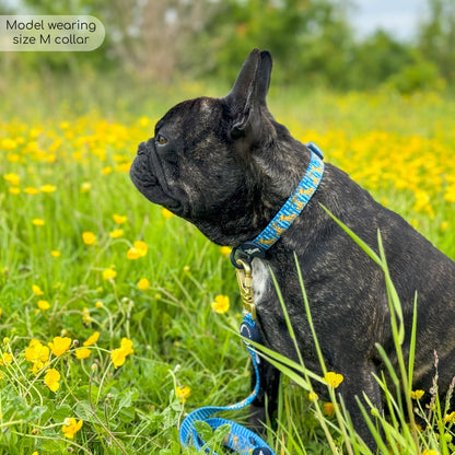 Pawsome Paws Boutique x Disney Collar - Simba