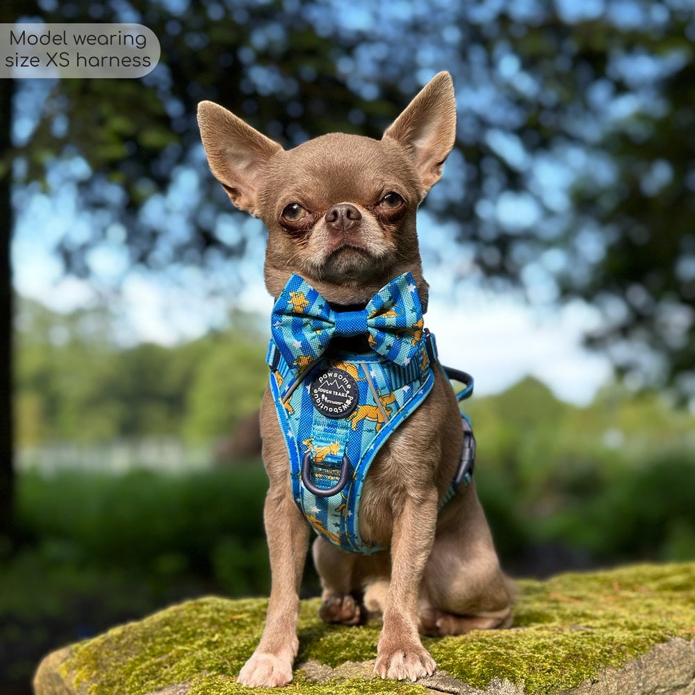 Pawsome Paws Boutique x Disney Tough Trails Harness - Simba