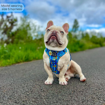 Pawsome Paws Boutique x Disney Tough Trails Harness - Simba