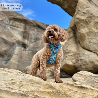 Pawsome Paws Boutique x Disney Tough Trails Harness - Simba