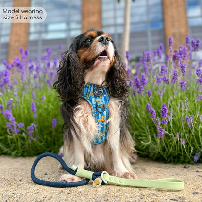 Pawsome Paws Boutique x Disney Tough Trails Harness - Simba