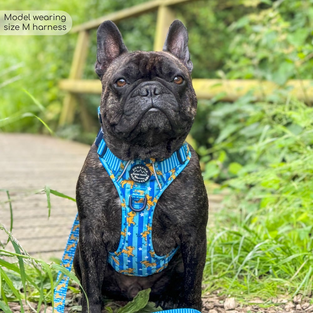 Pawsome Paws Boutique x Disney Tough Trails Harness - Simba