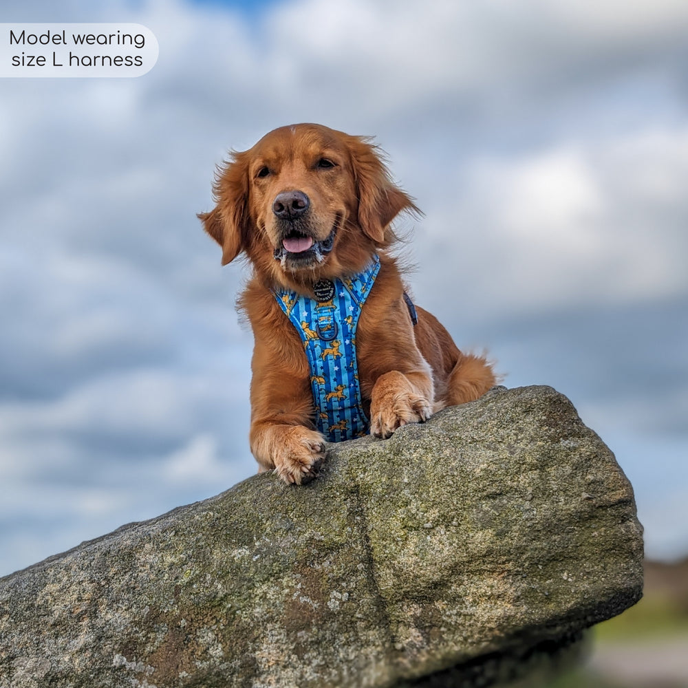 Pawsome Paws Boutique x Disney Tough Trails Harness - Simba