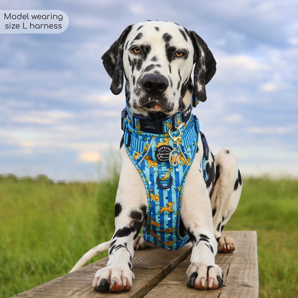 Pawsome Paws Boutique x Disney Tough Trails Harness - Simba