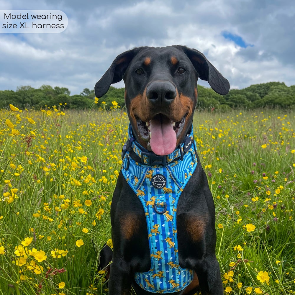 Pawsome Paws Boutique x Disney Tough Trails Harness - Simba