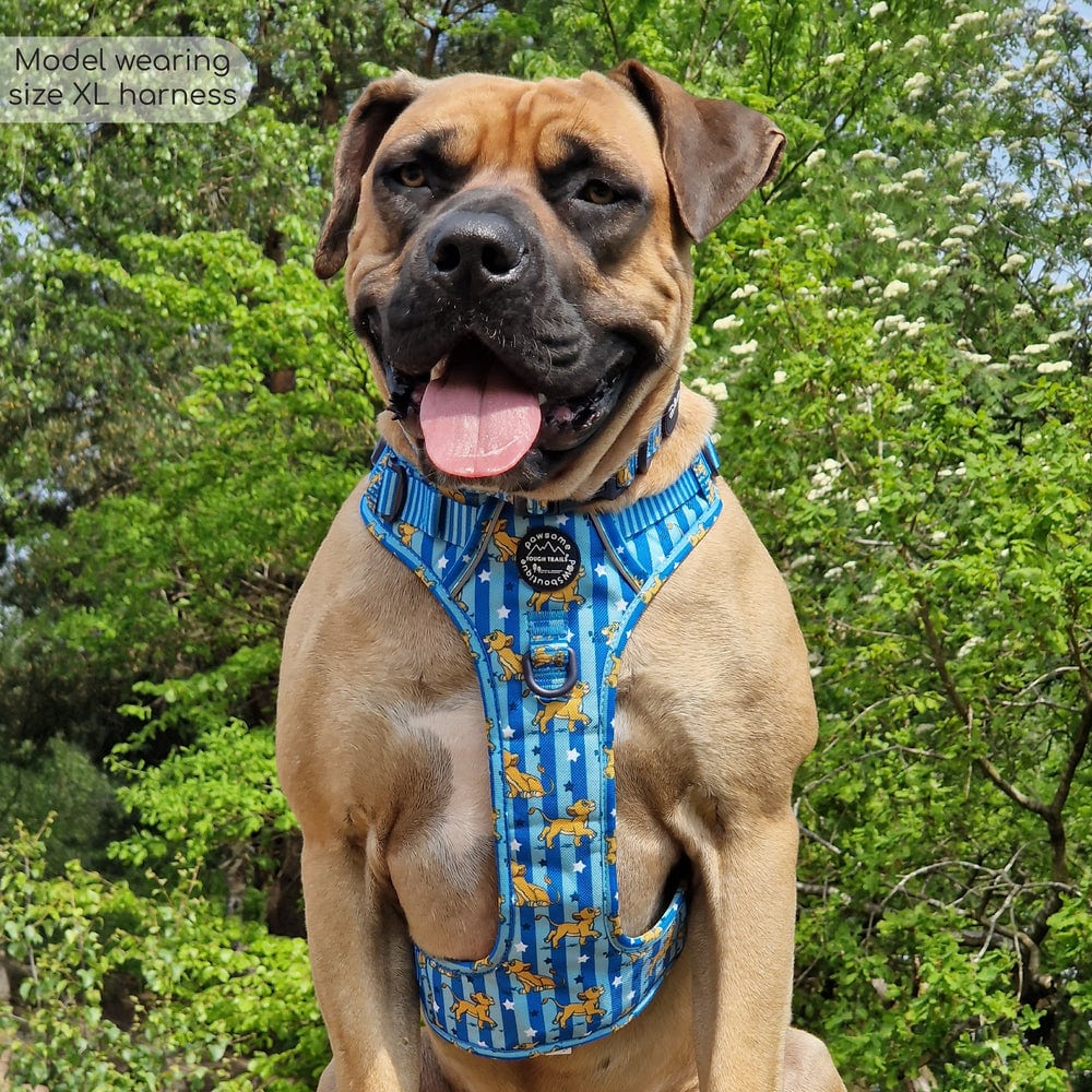 Pawsome Paws Boutique x Disney Tough Trails Harness - Simba