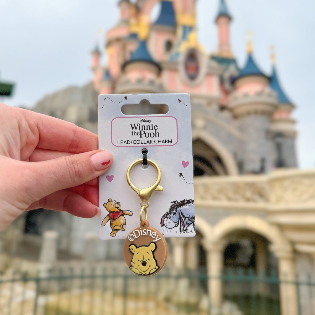 Pawsome Paws Boutique x Disney Charm - Winnie The Pooh