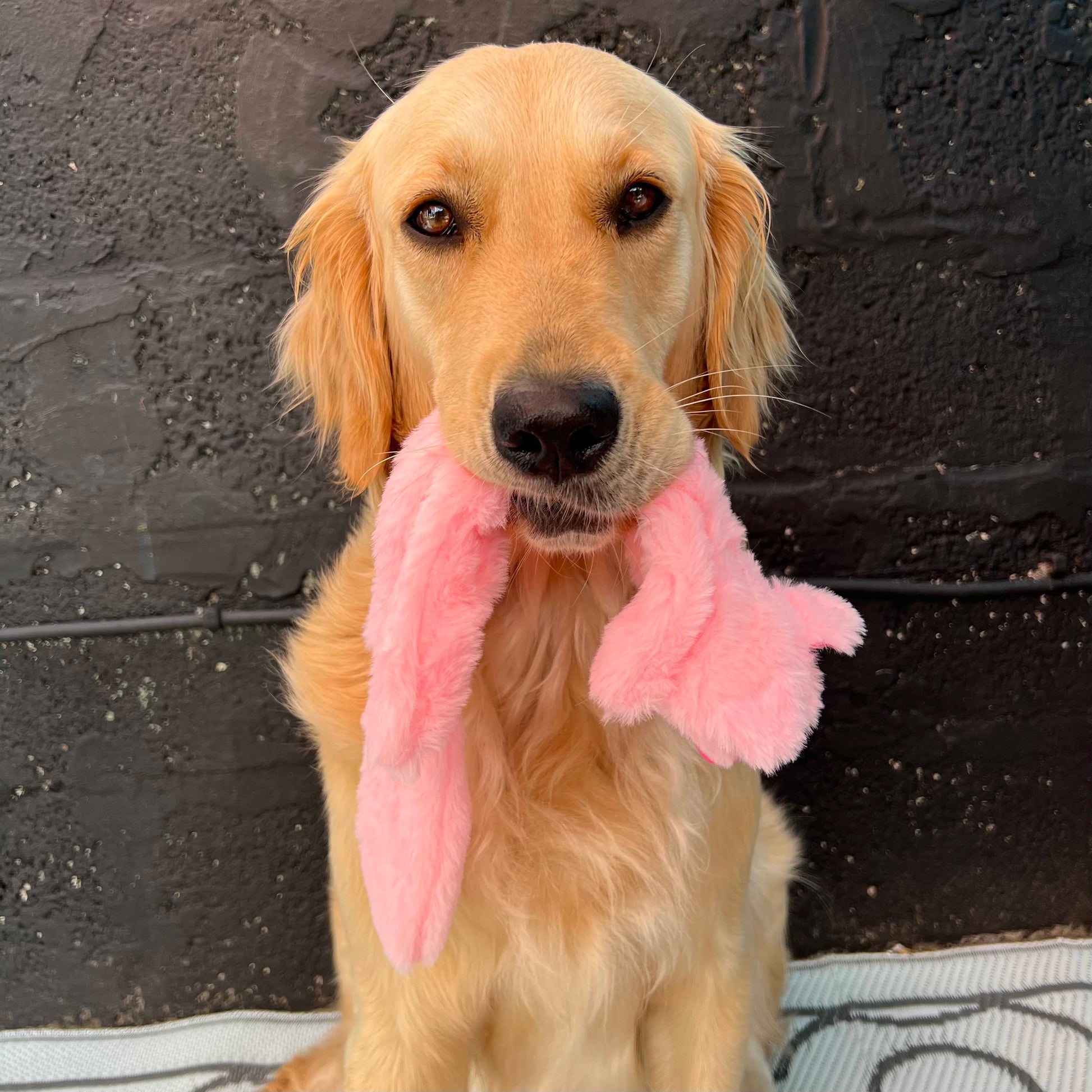 Pink Pig Dog Toy