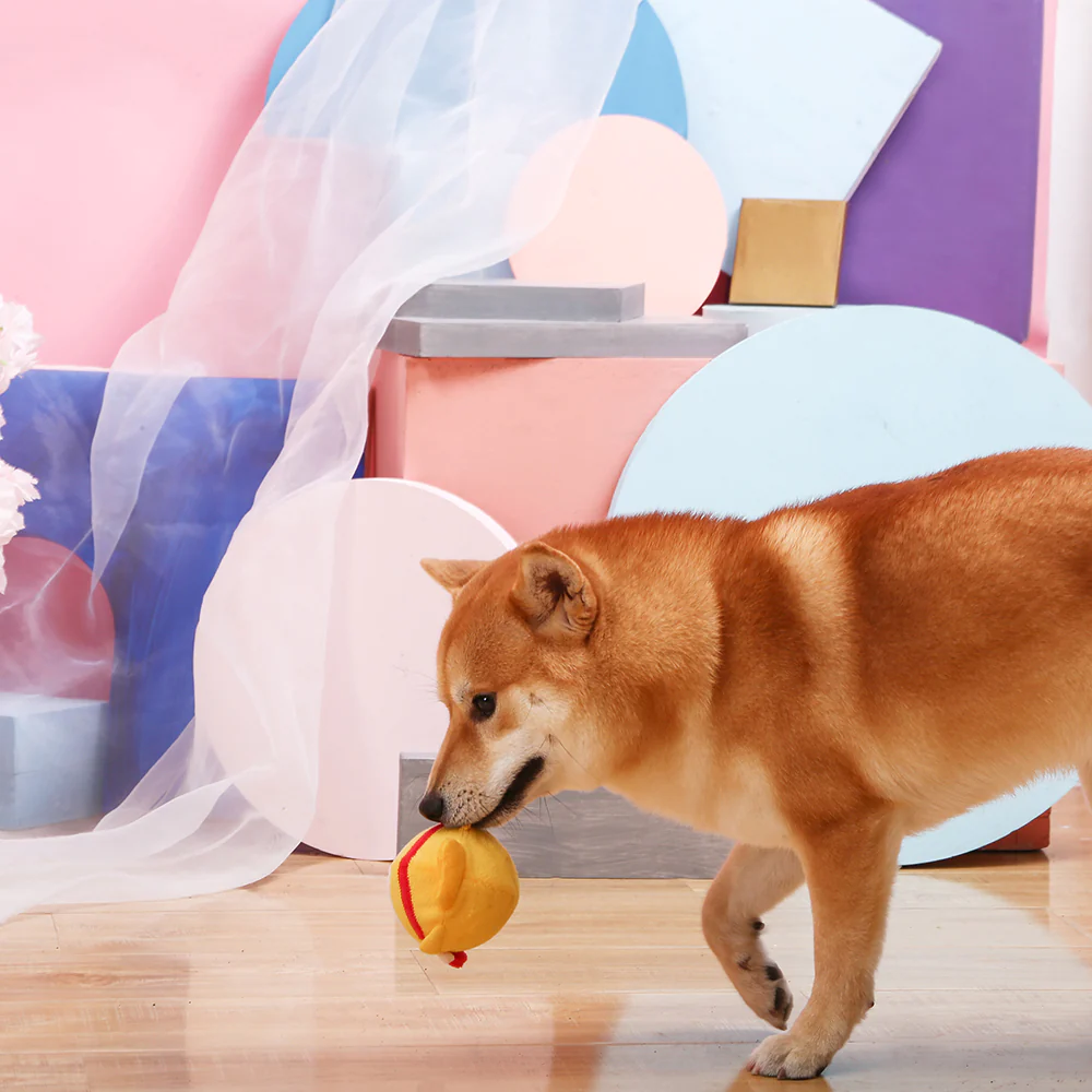 Princess Castle Story Dog Ball Toy