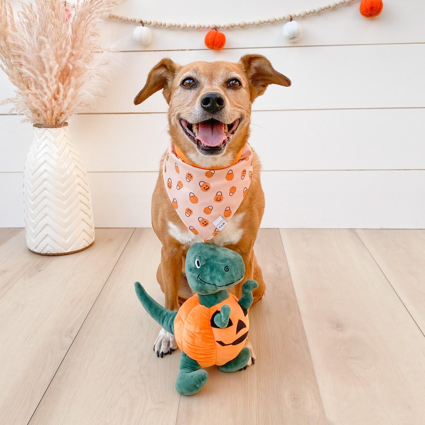 Pumpkin Dinosaur Toy