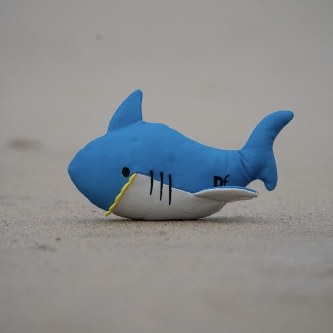 Salina Shark Toy