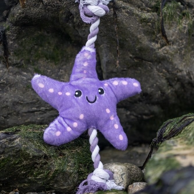 Samantha Starfish Dog Toy