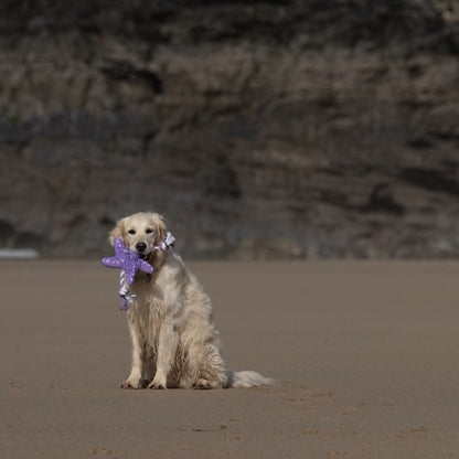 Samantha Starfish Dog Toy