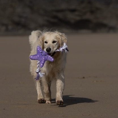 Samantha Starfish Dog Toy