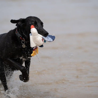 Sammi Seagull Toy