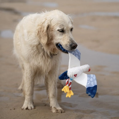 Sammi Seagull Toy