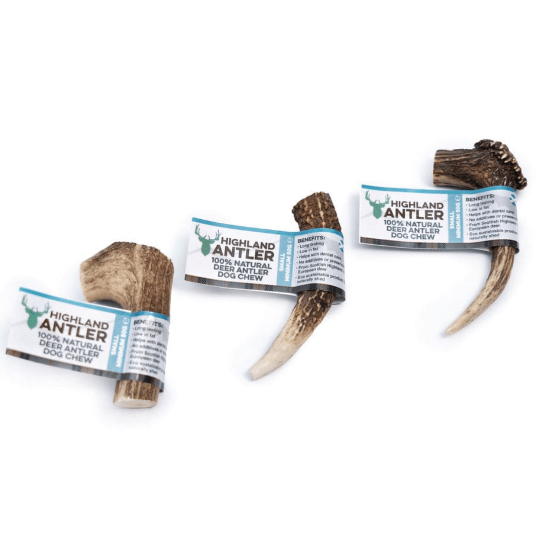 Small Highland Deer Antler Dog Chew