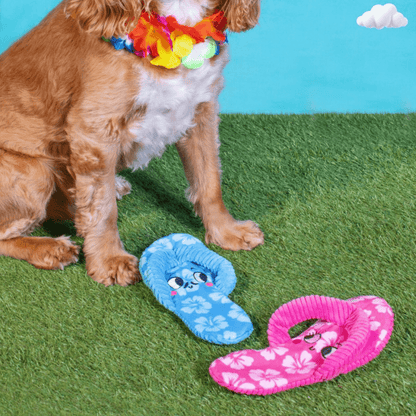 Stuffing Free Flip Flop Dog Toy