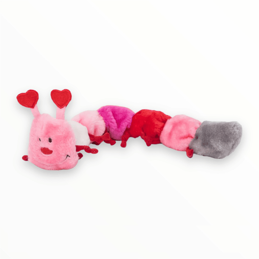 Valentines Caterpillar Plush Dog Toy