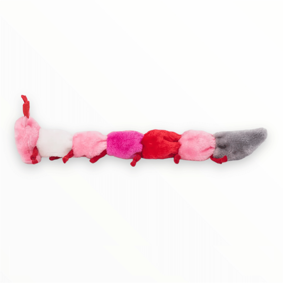 Valentines Caterpillar Plush Dog Toy