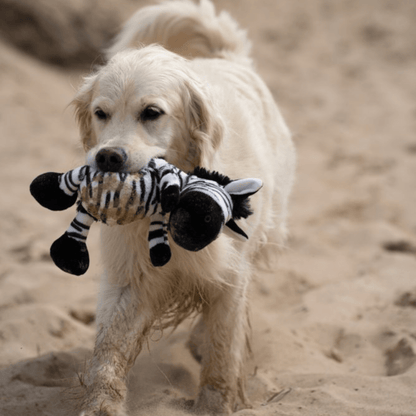 Zebedee Zebra Toy